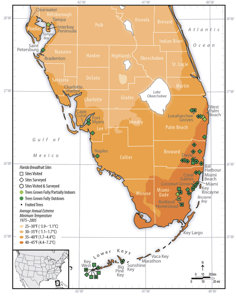 A map of South Florida detailing the locations of where people are successfully growing breadfruit trees