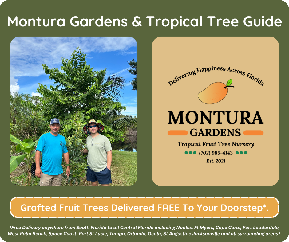 Montura Gardens and Tropical Tree Guide Partnership